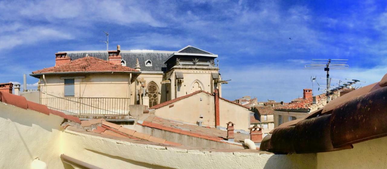 Joli Studio Avec Terrasse-Jardin Sur Les Toits, Coeur Historique Montpellier Ngoại thất bức ảnh