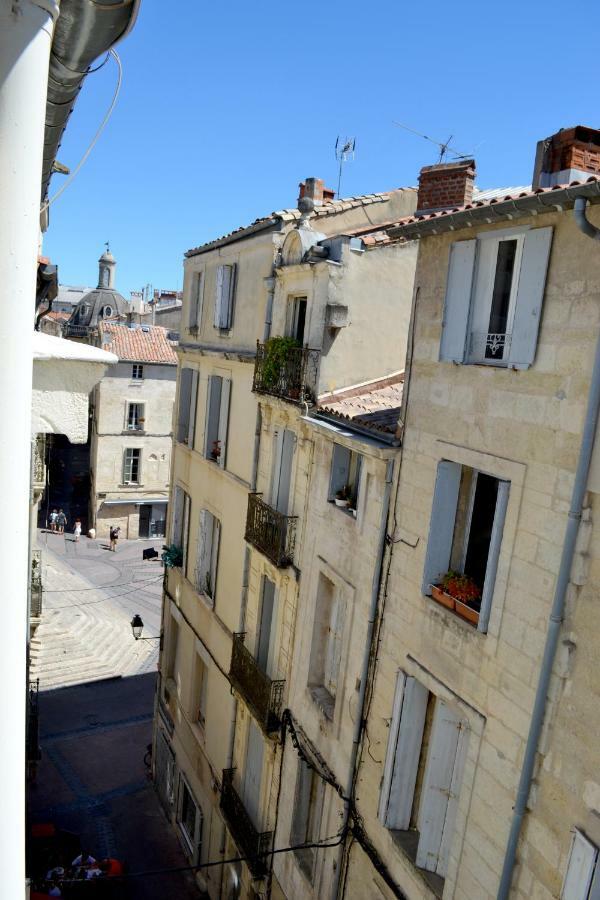 Joli Studio Avec Terrasse-Jardin Sur Les Toits, Coeur Historique Montpellier Ngoại thất bức ảnh